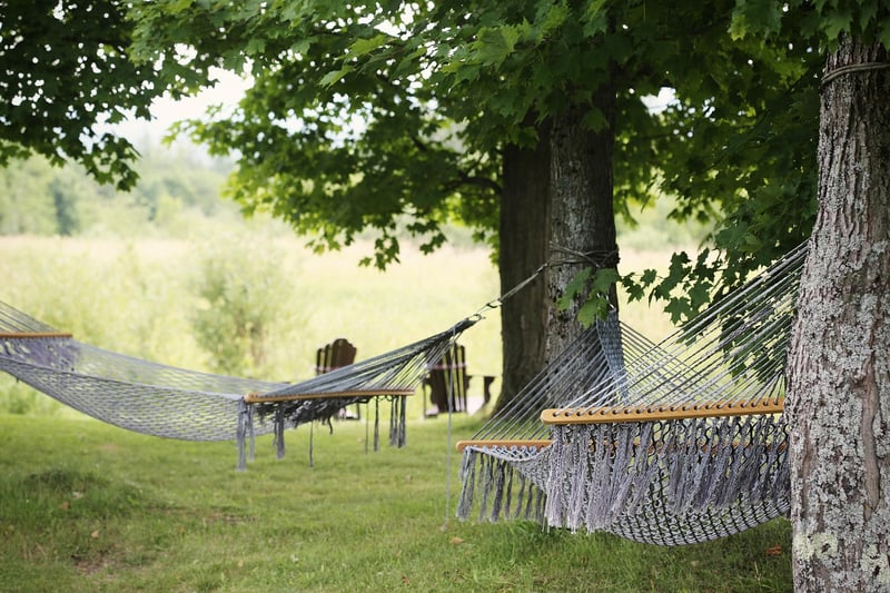 Camping Hammock